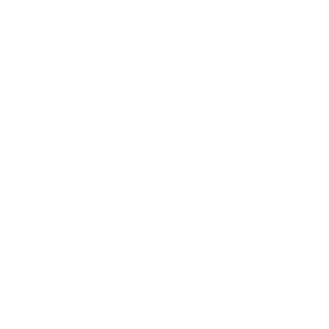 white speed icon