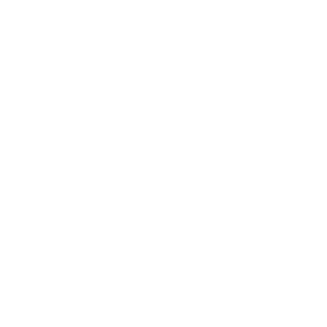 white wifi icon