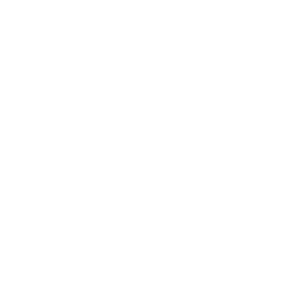 white gaming icon