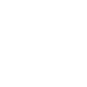 white home security icon