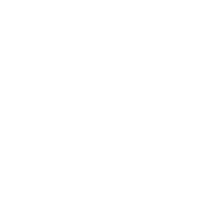 voice remote icon