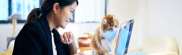 woman and cat on laptop power cycle modem