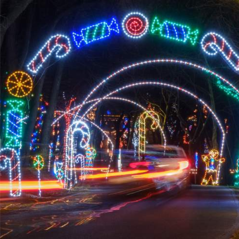 28th Annual Lights in the Parkway