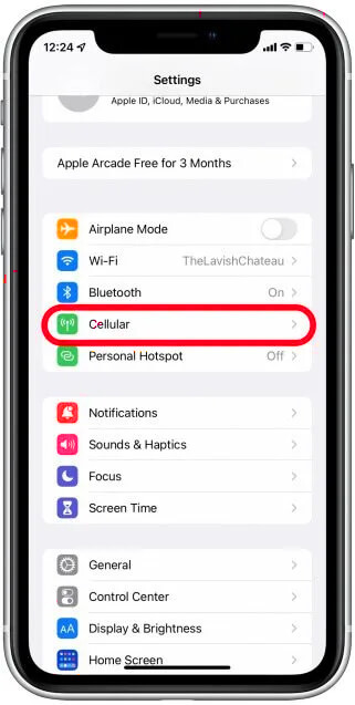 Iphone settings showing cellular